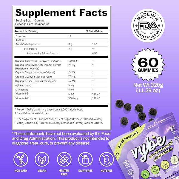 VYBE DAILY NOOTROPIC GUMMIES – 8-IN-1 MUSHROOM & ADAPTOGEN BRAIN SUPPLEMENT FOR FOCUS, ENERGY, AND MOOD WITH LION’S MANE, CORDYCEPS, REISHI, CHAGA, ASHWAGANDHA (BLUEBERRY, 60-COUNT)