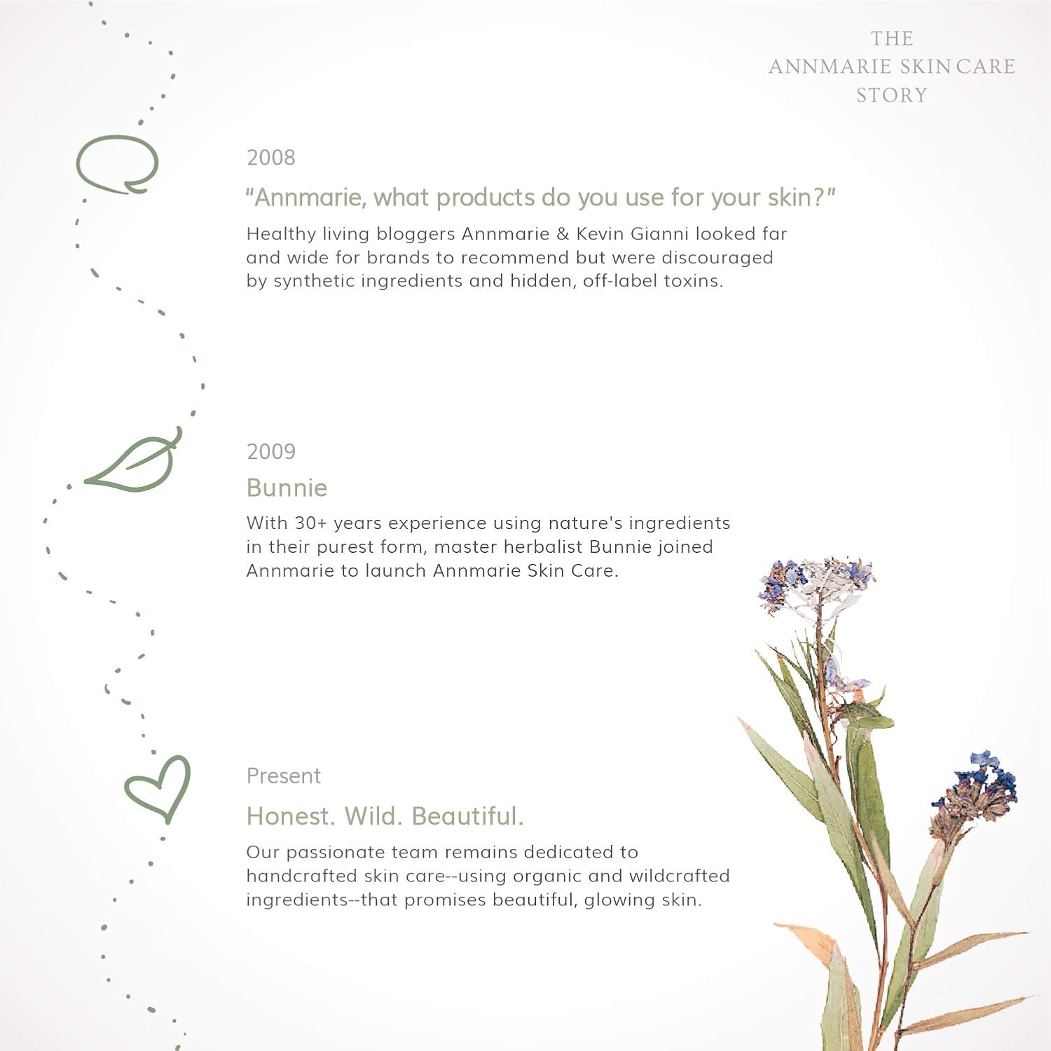 annmarie aloe herb cleanser