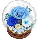 Preserved Flowers Valentines Day Gifts, Gifts for Her, Mom Wife Grandma Girlfriend, Fresh Flowers for Delivery Prime, Real Eternal Rose for Christmas, Birthday, Anniversary, Blue