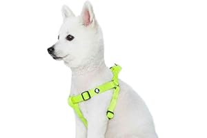 Blueberry Pet Essentials Step-in Dog Harness, Medium Size | Adjustable Highlighter Yellow Vest | Classic Solid Nylon for Boy & Girl Dogs, Chest Girth 20" -26"