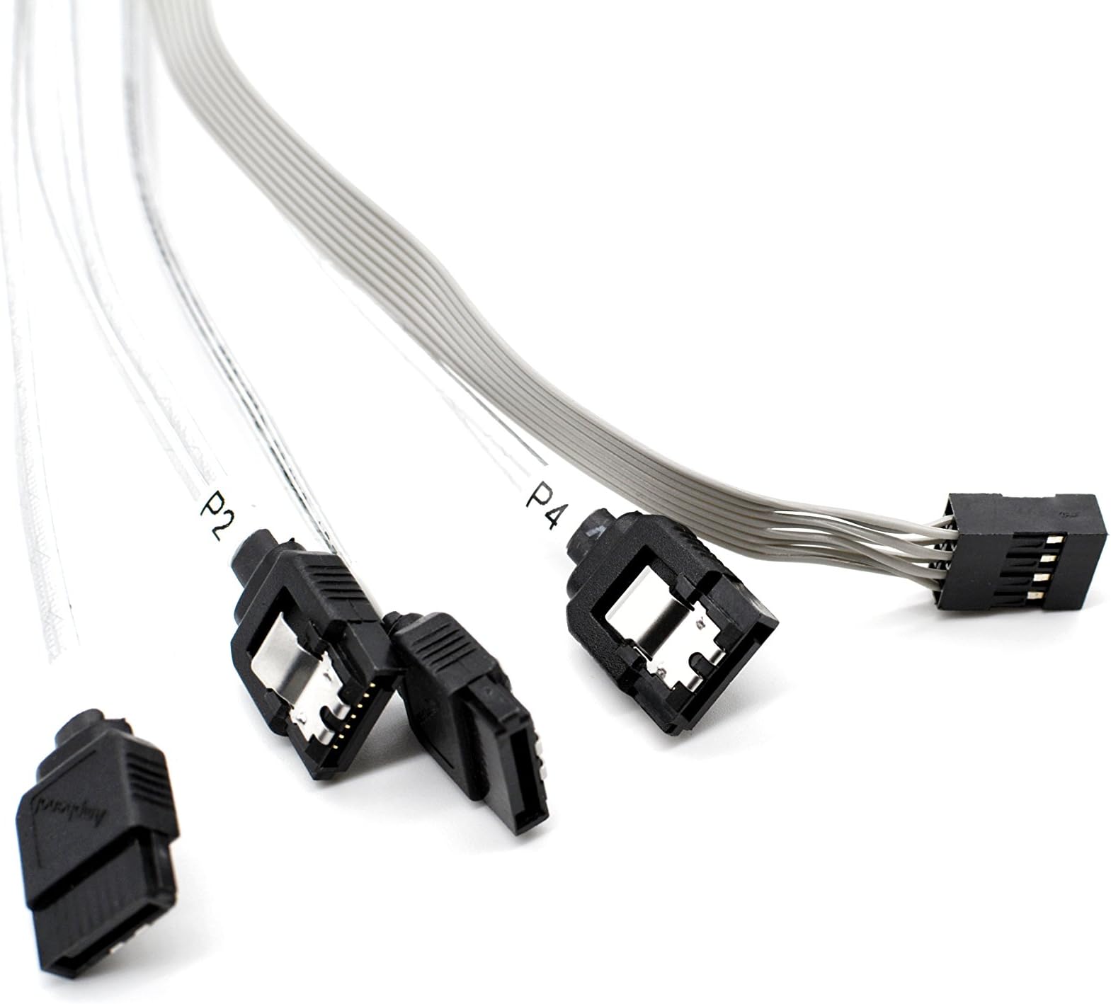 CineRAID Internal miniSAS 12G (SFF-8643) to 4 Port SATA Cable (1 Meter/3.2 feet)