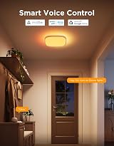 Govee LED Ceiling Light Smart RGBIC 2400LM Matter Alexa Google 30cm Square view 3