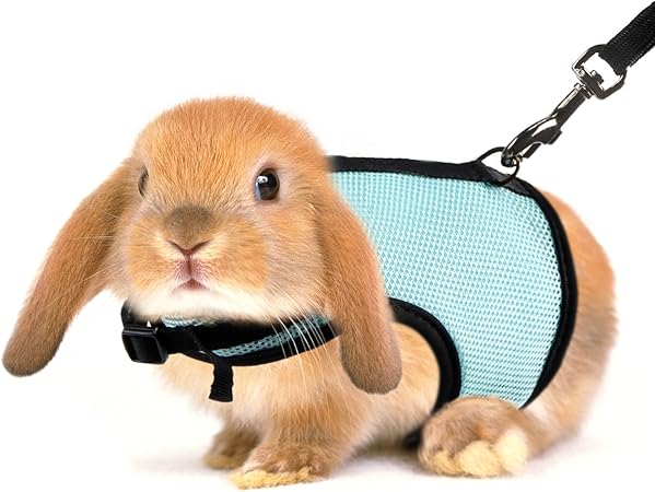 small rabbit harness