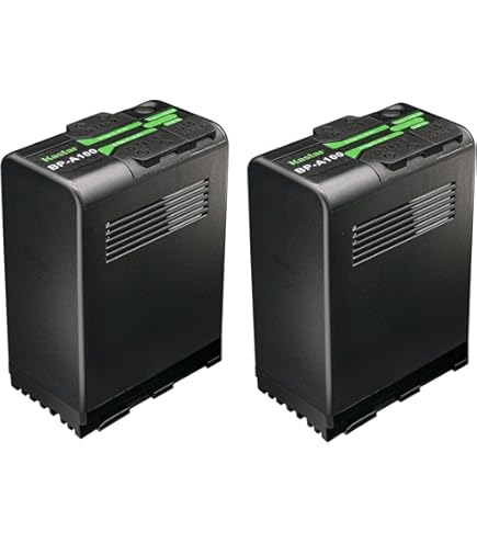 Amazon.com : The Imaging World Power2000 BP-A30 Battery