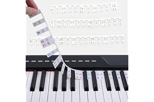 LAWDIEY Piano Keyboard Sticker for Beginner,88-Key Full Size,Removable Piano Keyboard Letters, Made of Silicone, No Need Stickers, Reusable and Comes with Box (Colorful)