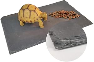BINANO Tortoise Habitat basking Rock Feeding Dish Bearded Dragon/Lizard Original Rock Slab,Easy to Grind The Nails,with Non-Slip mats,Natural Food Bowl,Moisturizing Effect(Large- Size)