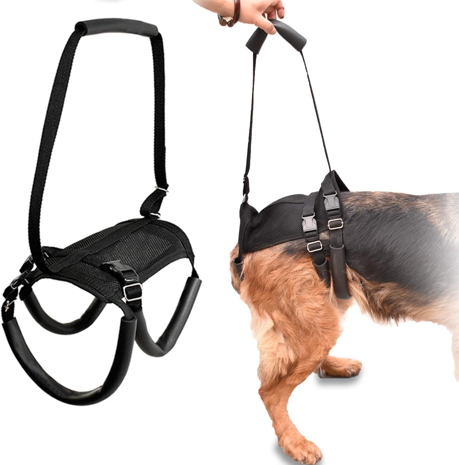 LOOBANI Dog Support Harness for Back Legs, Lift Rear Mobility Aids for Aging, Injuries and Rehabilitation After Surgery