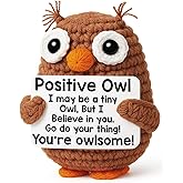Positive Crochet Owl Birthday Gifts for Women, Valentines Emotional Inspirational Support Gifts for Her Friend Mom Coworkers Teacher, Encouragement New Job Gift Funny Handmade Crochet Owl Desk Decor