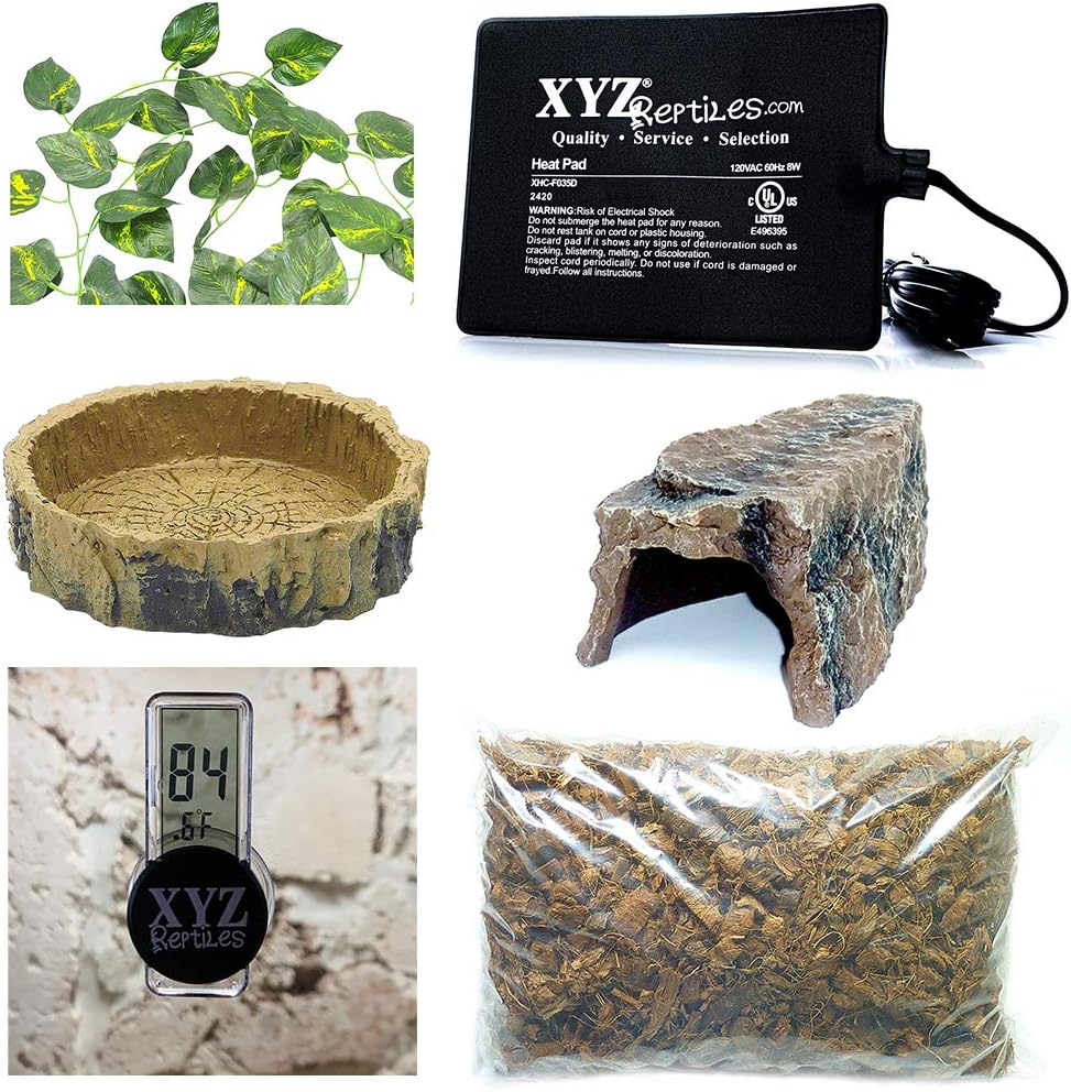 10 gallon reptile starter kit