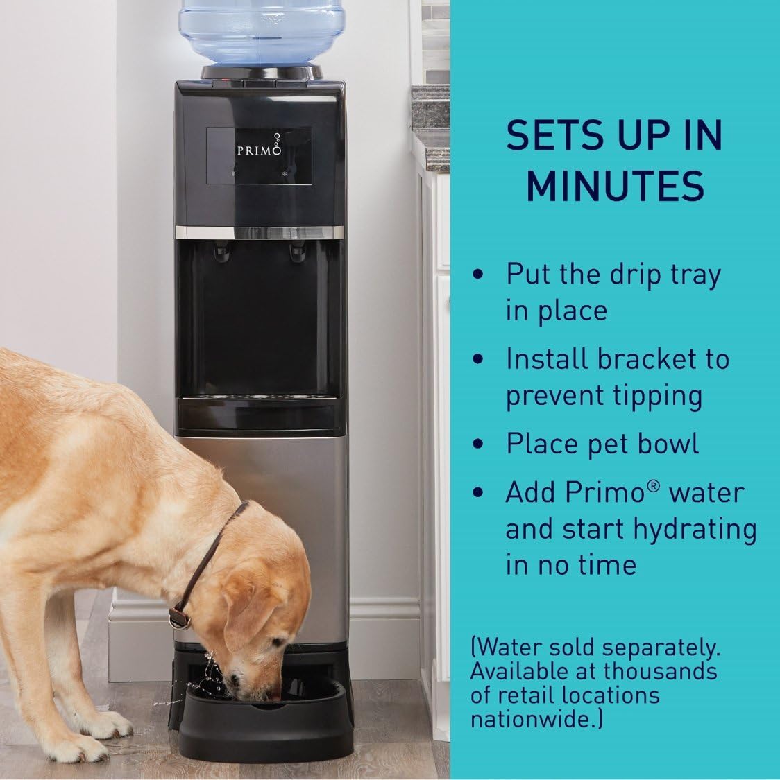primo dog water dispenser