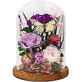 HUACHIPLUS Eternal Flower with Butterfly: Big Flowers Big Love-Elegant Flower in Glass Dome-Thanksgiving, Christmas, Mom Gifts for Her-Flowers for Delivery Prime-Floral Arrangements(Purple)