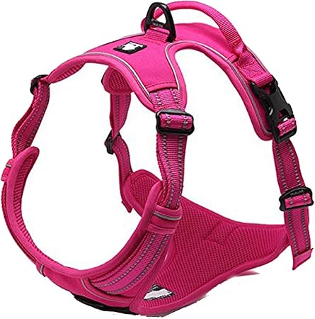true love harness amazon