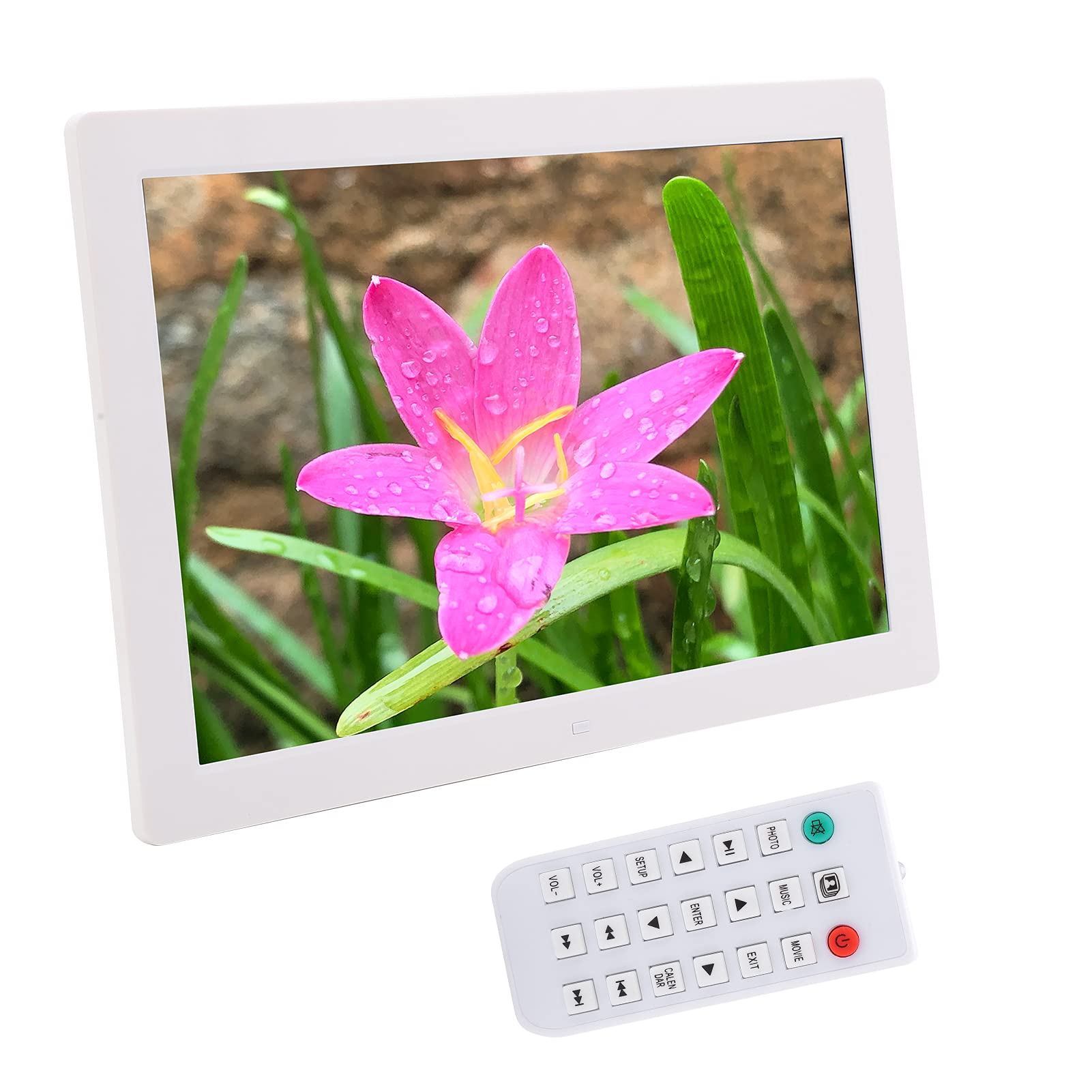 17in Digital Picture Frame Large Digital Picture Frame