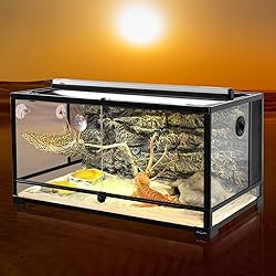 Oiibo T5 UVB Reptile Lighting Combo Kit, Reptile