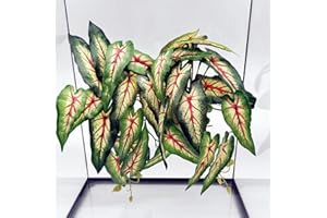 FLMOVING Reptile Plants for Terrarium, Amphibian Habitat Decor Artificial Hanging Plants with Suction Cup, Artificial Plants for Gecko Chameleon Snake Tortoise Tank Accessories. 2-Pack (Alocasia odora -A)