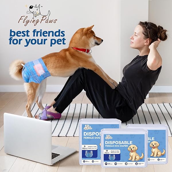 FLYING PAWS DOG DIAPERS FEMALE, DISPOSABLE DOG DIAPERS SMALL JEANS PATTERN DOGGIE PUPPY DIAPERS FEMALE CATS, X-SMALL, 32 COUNT