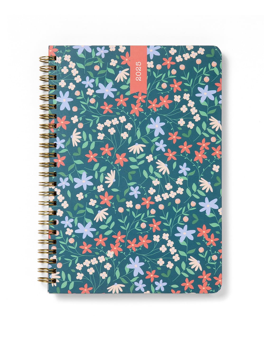 Letts of London Spring Valley A5 week to view 2025 diary - green