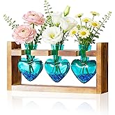 Nacome Plant Terrarium Propagation Stations: Valentines Day Gifts for Her Plant Lovers Women Mom Wife Daughter - 3 Bulb Glass Vase with Wooden Stand Tabletop for Hydroponics Home Garden Wall Decor