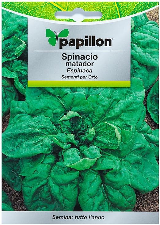 Semillas Espinaca Temprana (8 Gramos): Amazon.es: Jardín