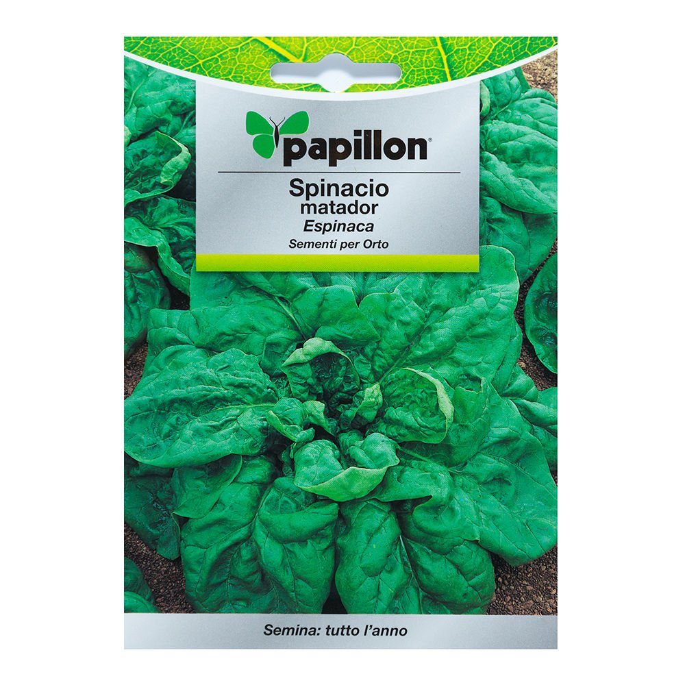Semillas Espinaca Temprana (8 Gramos): Amazon.es: Jardín
