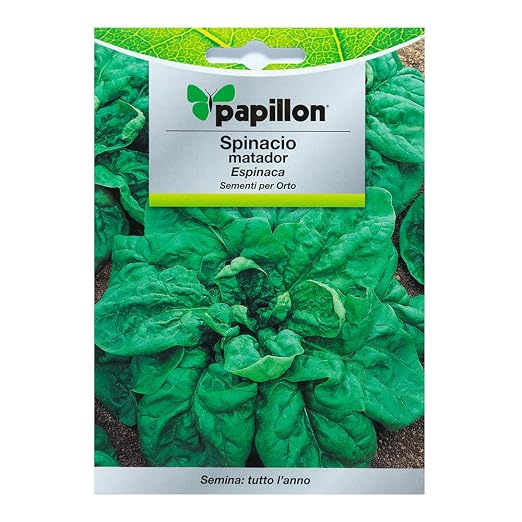 Semillas Espinaca Temprana (8 Gramos): Amazon.es: Jardín