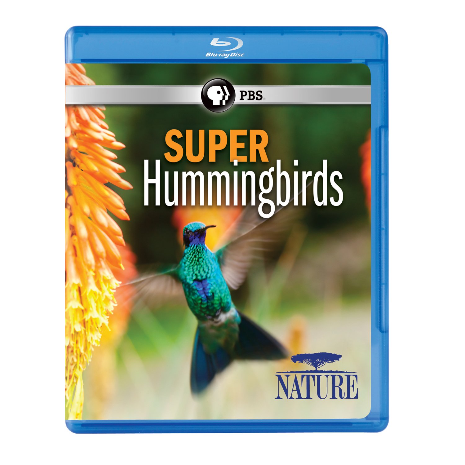 NATURE: Super Hummingbirds Blu-ray