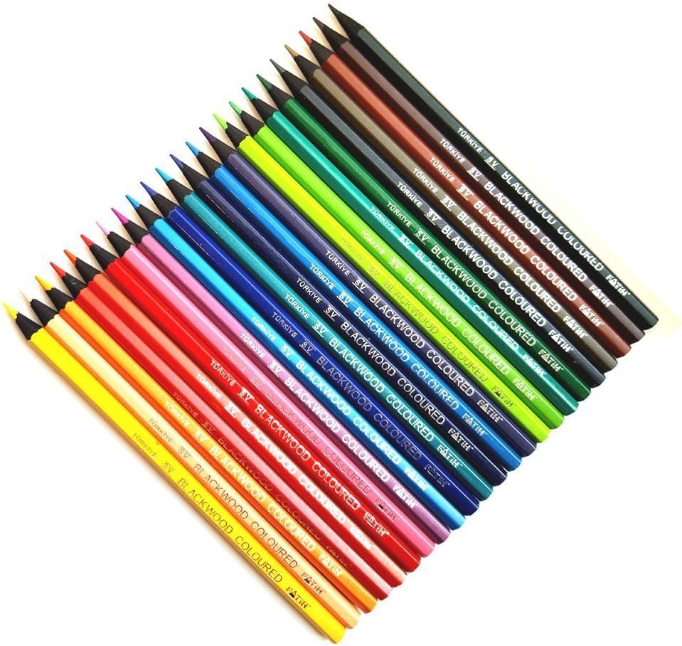 Colouring Pencils in Blackwood. 24 Pack.