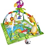 baby einstein jungle gym