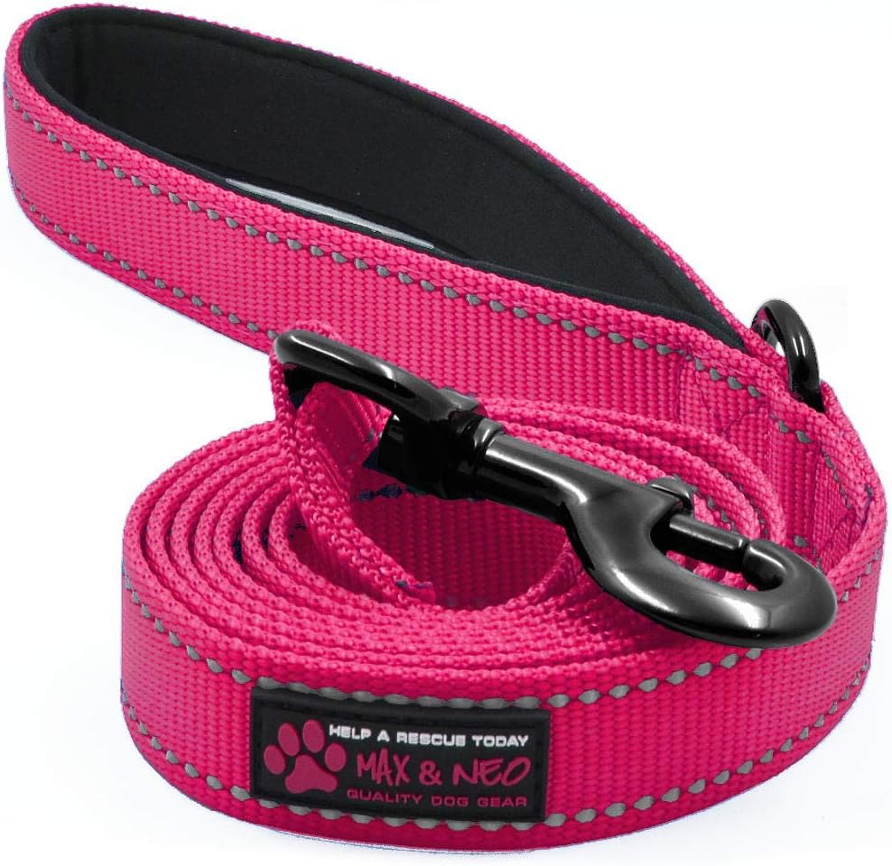Max & Neo Small Dog reflective Nylon Dog Leash - Donate a Leash to Rescue with Every Sale 6x5/8 inch Pink