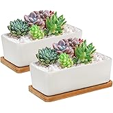Jucoan 2 Pack 6.5 Inches Rectangle White Ceramic Succulent Planter Pot, Modern Minimalist Porcelain Flower Cactus Pot, Plant 