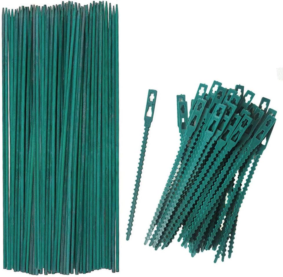 Oranly 50PCS 12 INCH/ 30CM Plant Support Sticks, Wooden Bamboo Stake