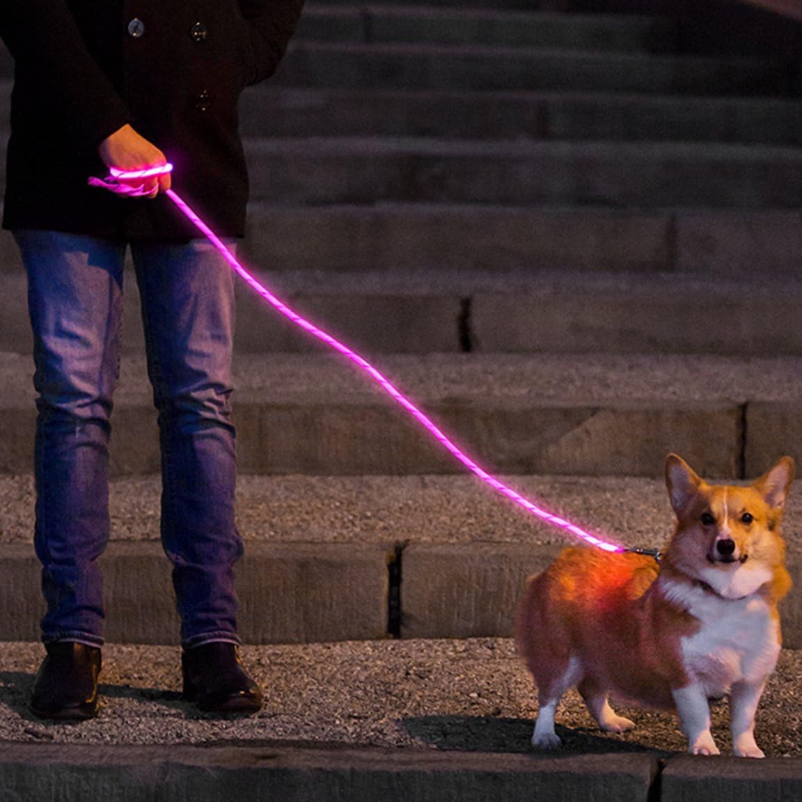 Nitey Leash LED Lighted Pet Dog Leash (Pink) Amazon.ca Pet Supplies