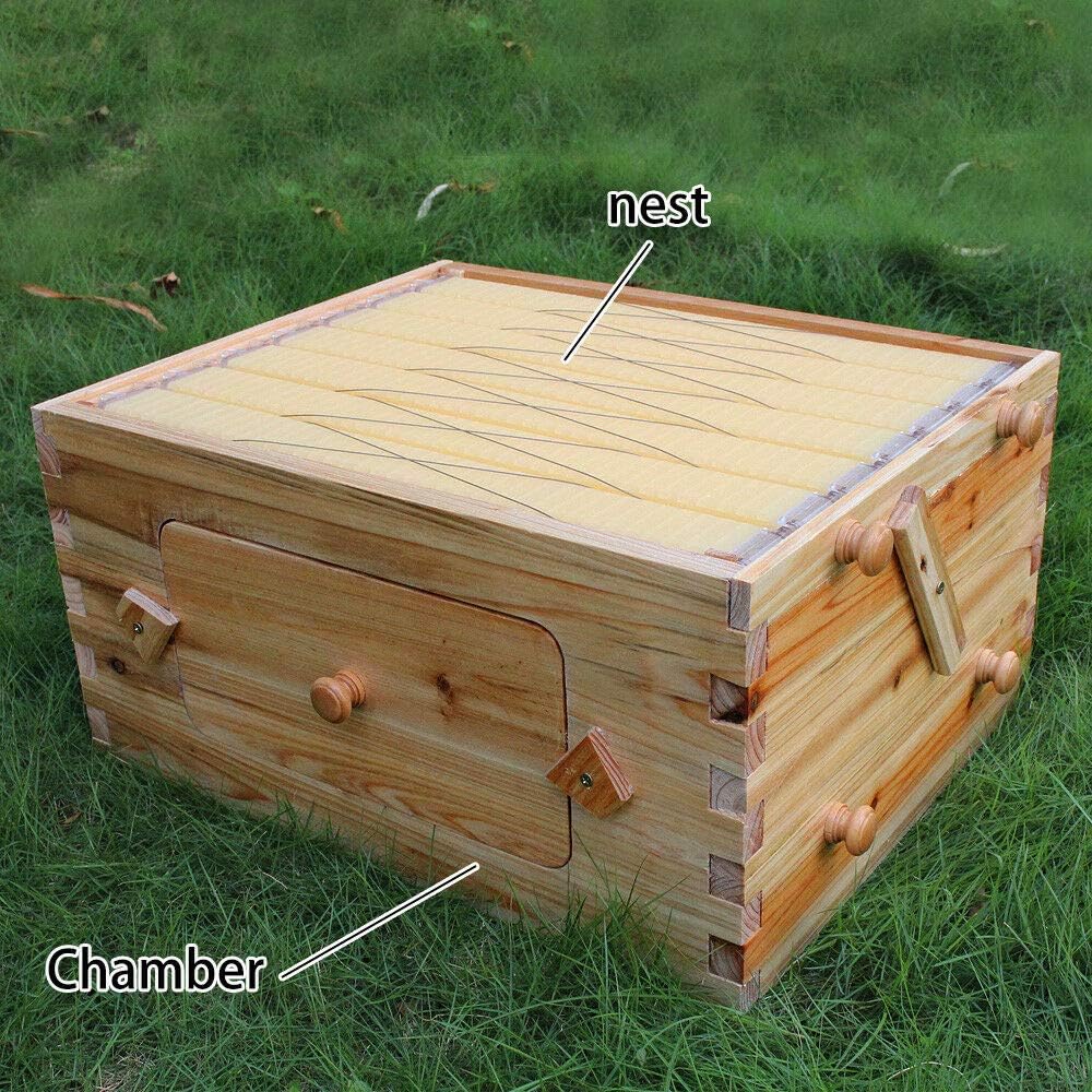 Soddyenergy Super Box with 7pcs Flow Frame Hive Box fit for Langstroth Hive, Auto Flow Beehive 7pcs Flow Frame Super Box Free Flow Frame