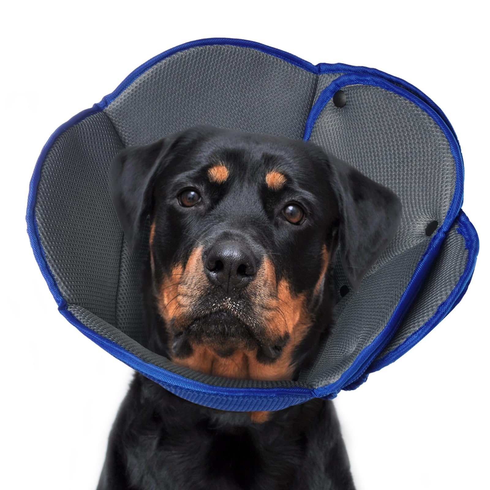 Hjyokuso Dog Cone Collar L, Soft Cones for Large Medium Small Dogs,Adjustable Dog Cone Alternative to Stop Licking, Comfy Elizabethan Collar for After Surgery Wound Healing & Hot Spots Blue — image 1