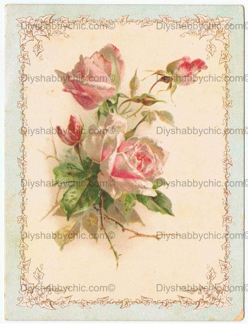 Furniture Wood Decal Image Transfer Vintage Antique Labels Ivy Rose DIY (Decal, A4-8.3 x 11.7 Inches)