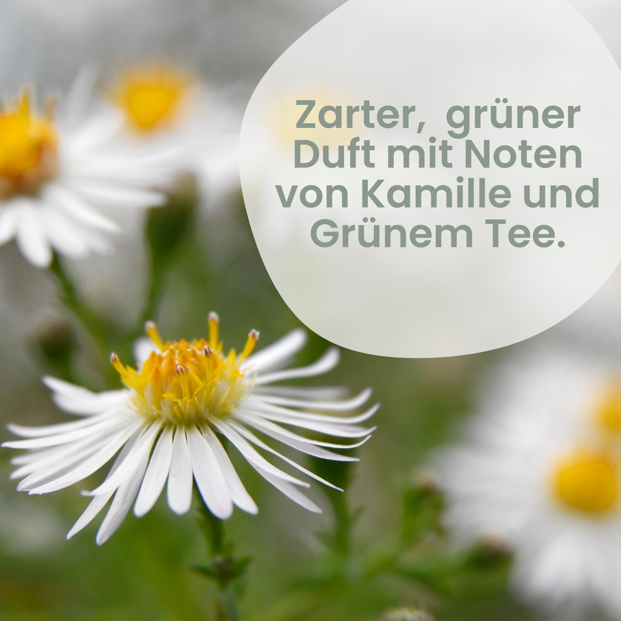 Jean & Len Handcreme Kamille & Olivenöl, vegane Pflegeformel mit Bio-Kamillenblüten Extrakt & Olivenöl, hautberuhigend, zieht schnell ein, vegane Handpflege, ohne Parabene & Silikone, 75 ml 5