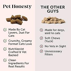 Cat Skin & Coat Health Crunchy & Creamy Chews