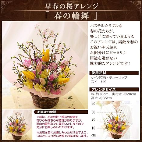 Amazon Bunbunbee 早春の桜アレンジ 春の輪舞 フラワーアレンジメント オンライン通販