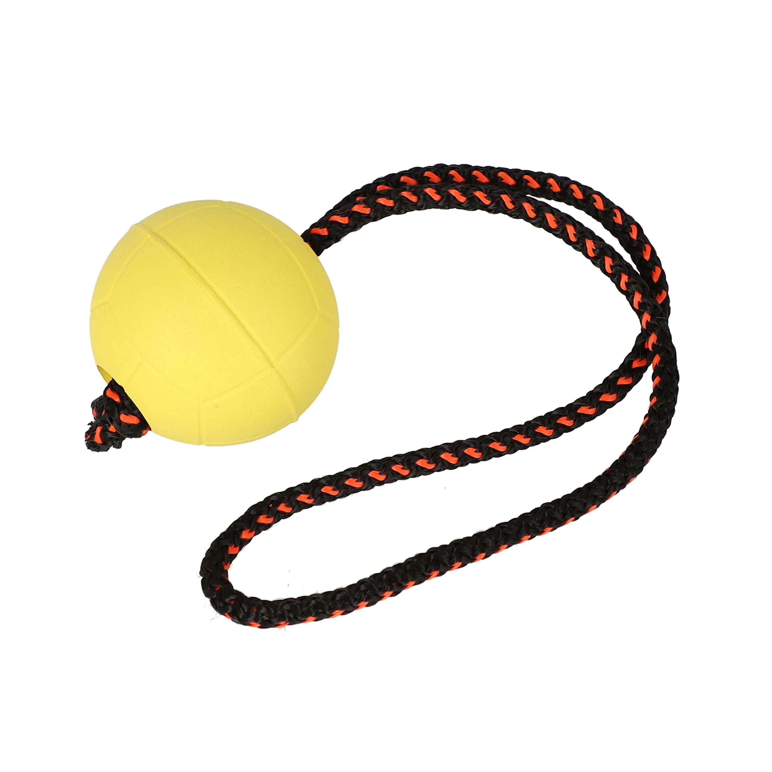 Dingo Ball BIBI for Training # 70 with Handle 30 cm Yellow Floating Ball Rubber Apport Dog Toys Game with Dog 17252