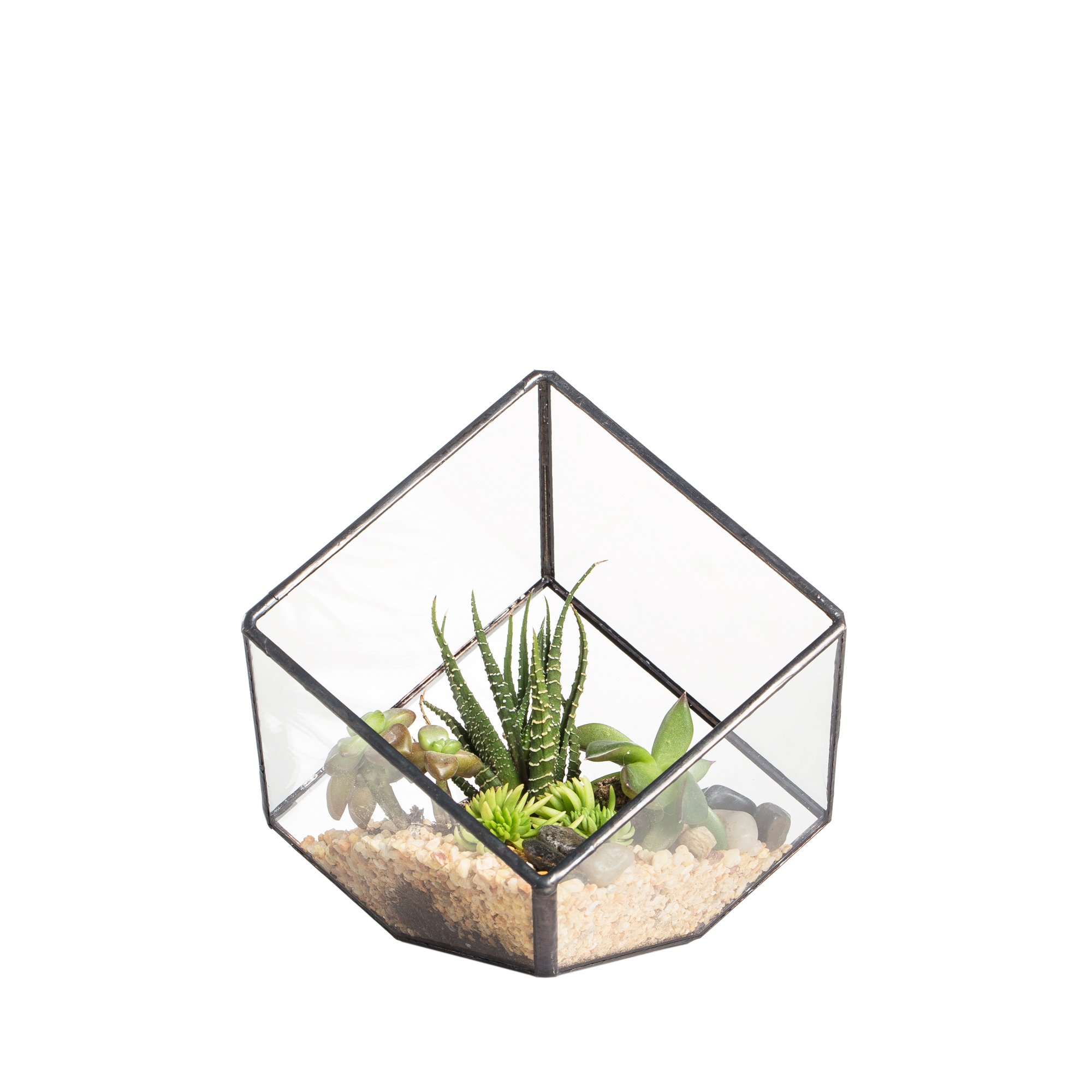 NCYP 10 cm Small Glass Geometric Terrarium, Cube Clear Plant Terrarium Planter for Succulent, Flower, Home Garden Indoor Balcony Tabletop Decor, Black (No Plants Included)