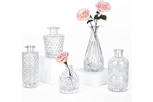 TBWIND Glass Bud Vase Set of 5, Small Clear Flower Vases for Centerpieces in Bulk, Mini Vintage Vase for Wedding Decor, Single Flowers, and Home Table Décor