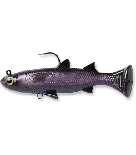 Amazon.com : Z-Man MTLT6-03 Mulletron, LT 6