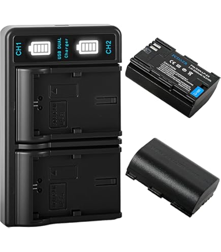 Amazon.com : Battery Pack for Canon EOS 6D, 6D Mark II, 6D MK II