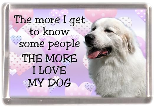 Perro de montaña pirenaica imán para nevera