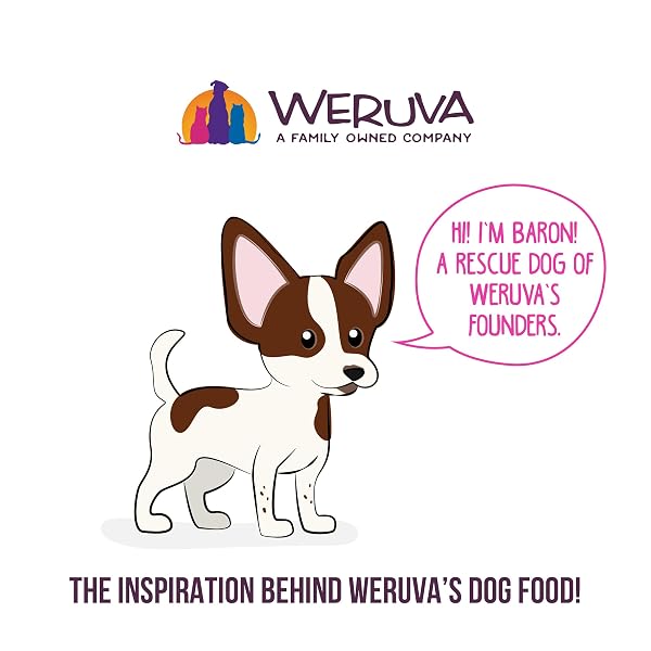 WERUVA BEST FIDO FRIEND FUN SIZE MEALS FOR DOGS, YOU MY MUNCHKIN, 2.75OZ CUP, PACK OF 12
