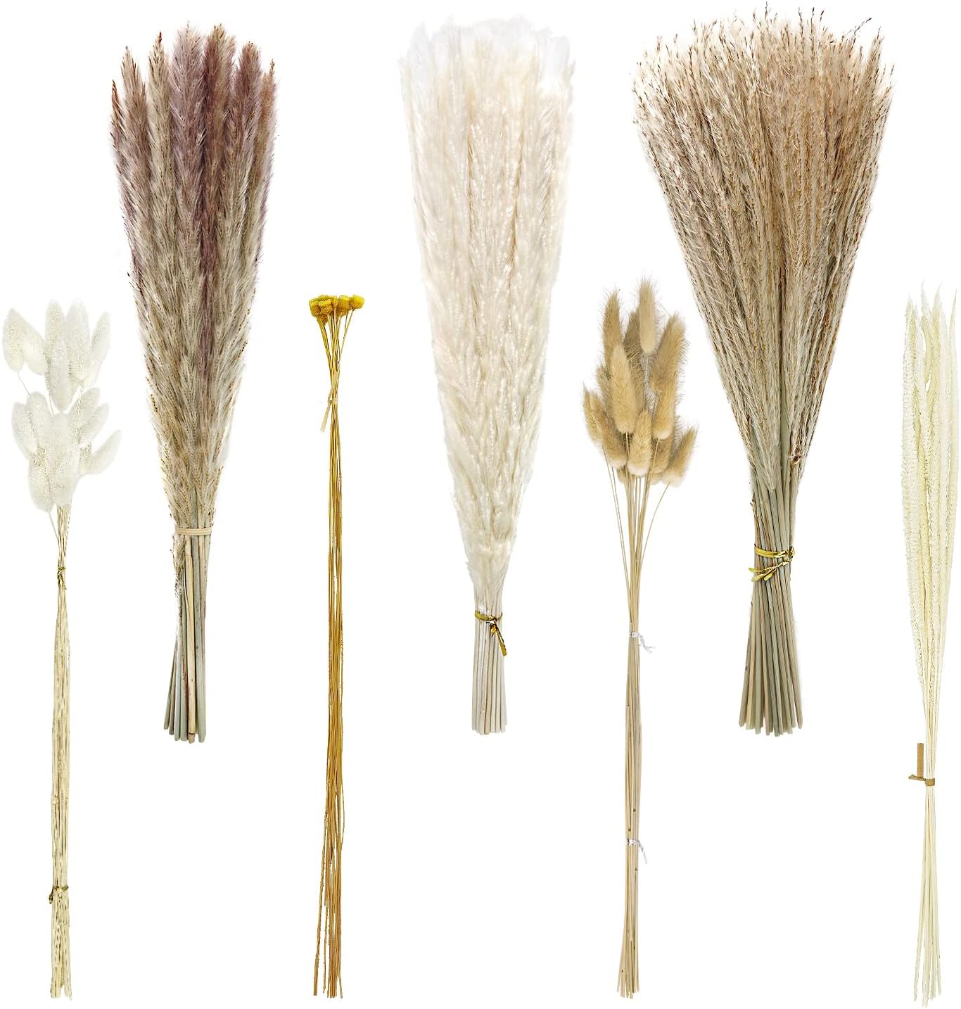 Dried & Preserved Flora - YSYFHG 135pcs Dried Pampas Grass Dried Flowers Home Decor Arrangement Plant Wedding Part Dried Flowers Decorations Natural Boho Pampas Grass Bouquet White Small Fluffy Reed Bunny Tails
