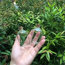 TAI DIAN 47x75x12.5mm 80ml 50units Transparent