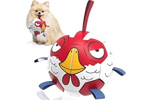 QDAN Premium Dog Balls Toys, Outdoor Dogs Toy for Small Medium Dogs, Puppy Birthday Gifts, Dog Soccer Ball, 6 Inch, Chicken Ball