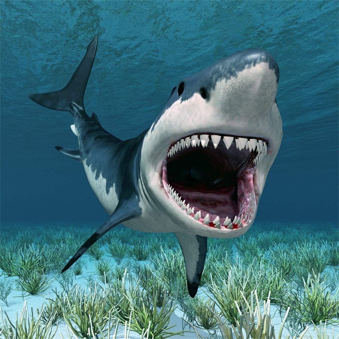 Yeele 5x5ft Vinyl Underwater World Backdrop Aquarium 3D Great White Shark Green Grass Ocean & Sea Cartoon Photography Background Boys Kids Happy Birthday Party Photo Studio Props