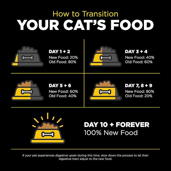 GO! SOLUTIONS SENSITIVITIES LIMITED INGREDIENT DUCK GRAIN-FREE DRY CAT FOOD, CHICKEN-FREE KIBBLE MADE BY EXPERTS FOR SENSITIVE STOMACHS & FOOD ALLERGIES, FOR KITTENS, ADULTS, & SENIORS, 3 LB BAG